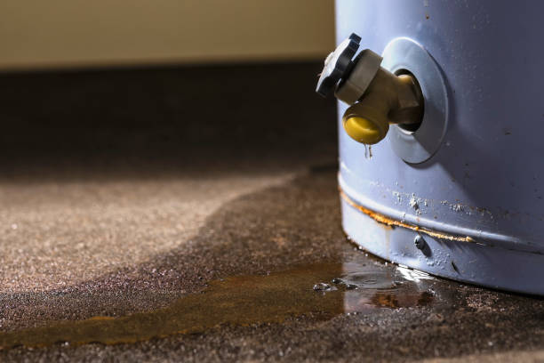 Best Commercial water damage restoration  in Timberline Fernwood, AZ