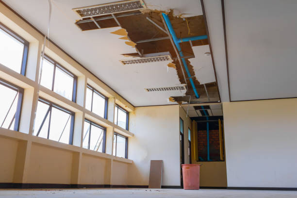 Best Professional water damage repair  in Timberline Fernwood, AZ