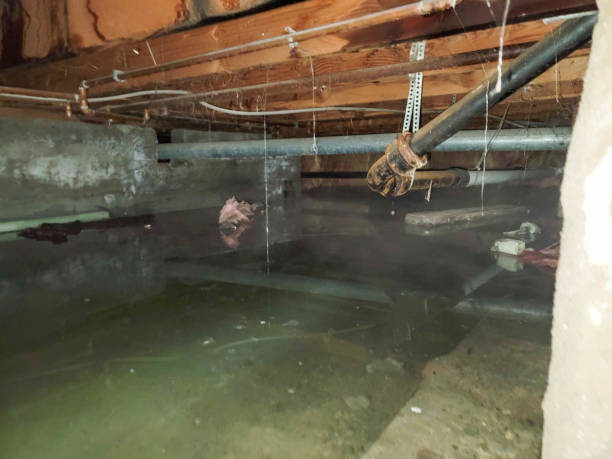 Best 24/7 water damage repair  in Timberline Fernwood, AZ