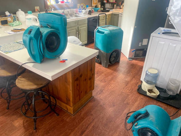 Reliable Timberline Fernwood, AZ Water damage restoration Solutions