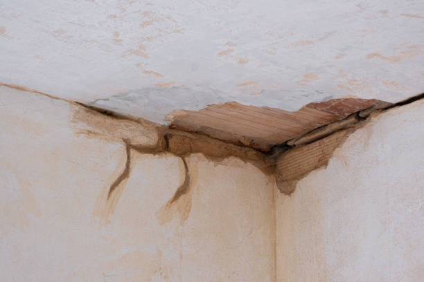 Local water damage restoration in Timberline Fernwood, AZ
