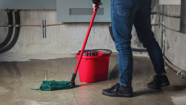 Water damage restoration process in Timberline Fernwood, AZ