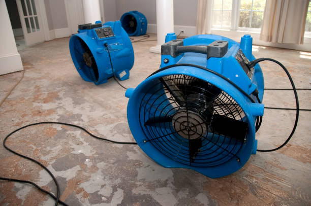 Best Flood restoration services  in Timberline Fernwood, AZ