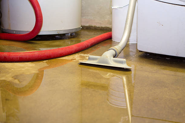 Best Mold removal after water damage  in Timberline Fernwood, AZ