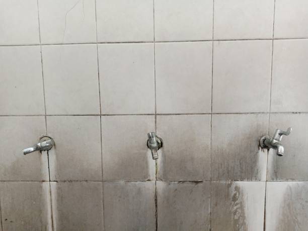 Best Water damage restoration cost  in Timberline Fernwood, AZ