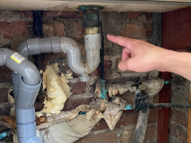 Best Water damage restoration near me  in Timberline Fernwood, AZ