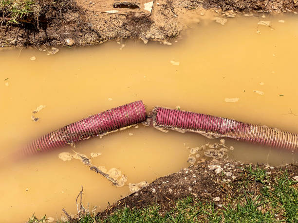 Best Water damage contractors near me  in Timberline Fernwood, AZ